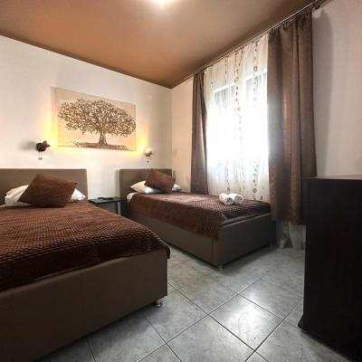 Standard Family Room 22 T1 3